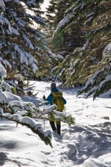 shirakoma lake at 10:37 Dec,20 2024