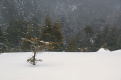 kitayokodake at 11:21 23,Feb 2023