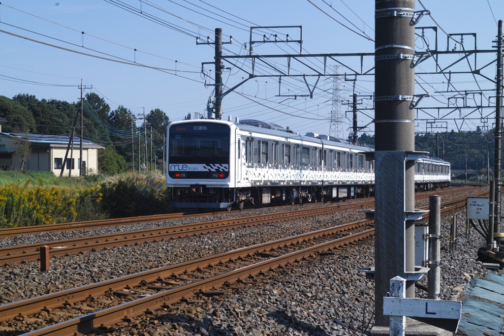 Cross railroad in sakura city 03