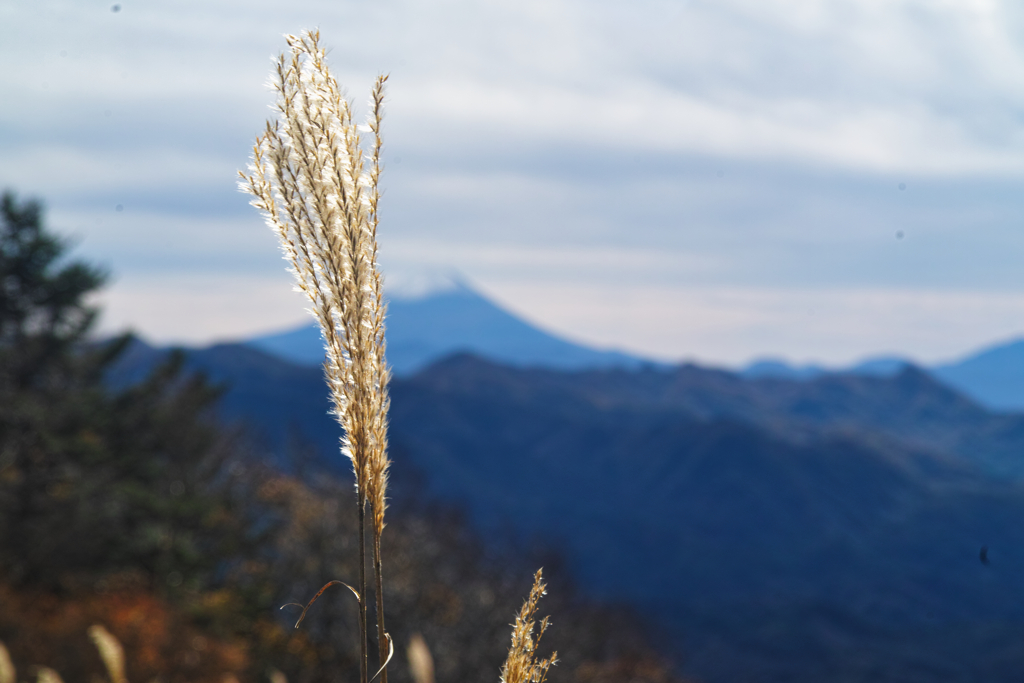 mt.yokoosan at 11:27 Nov,1 2025