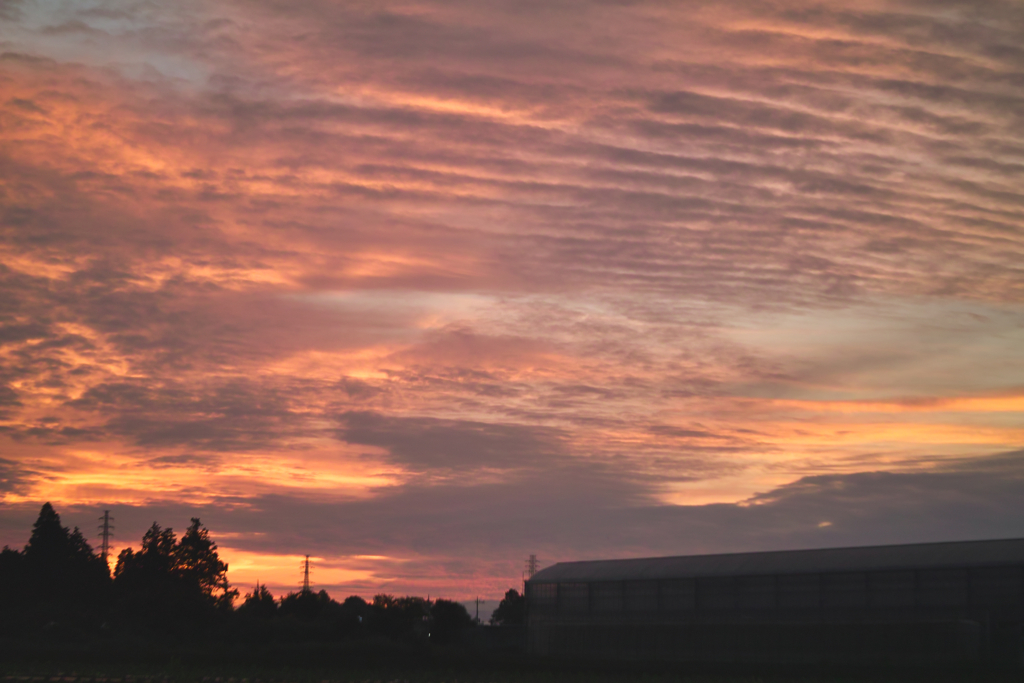 before sunrise by industar 50-2 50mｍ