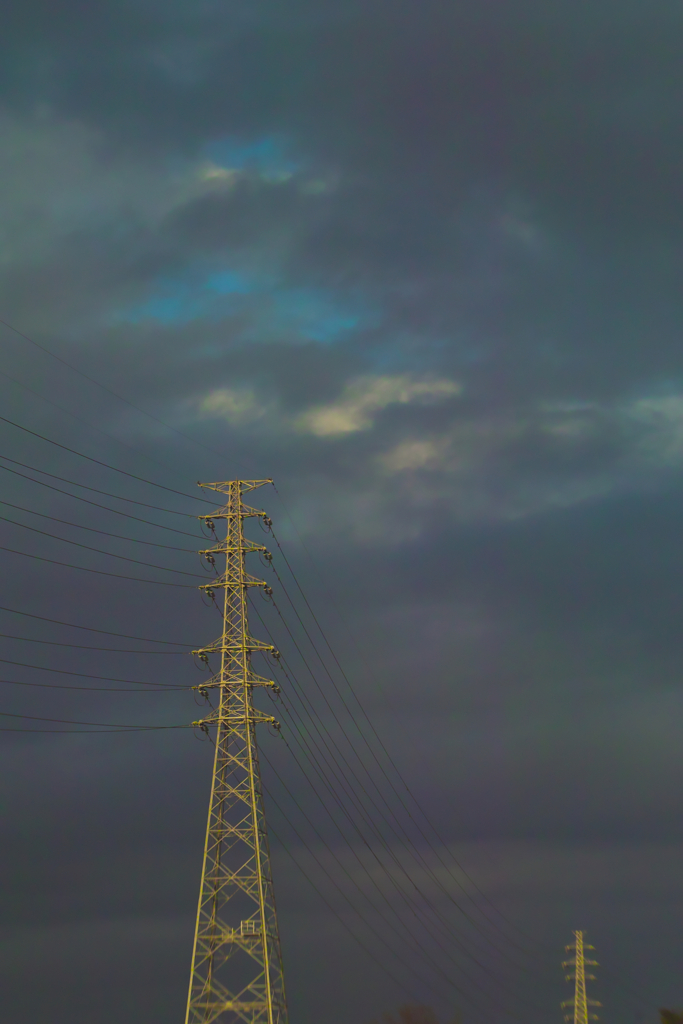 utility  poles