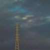 utility  poles