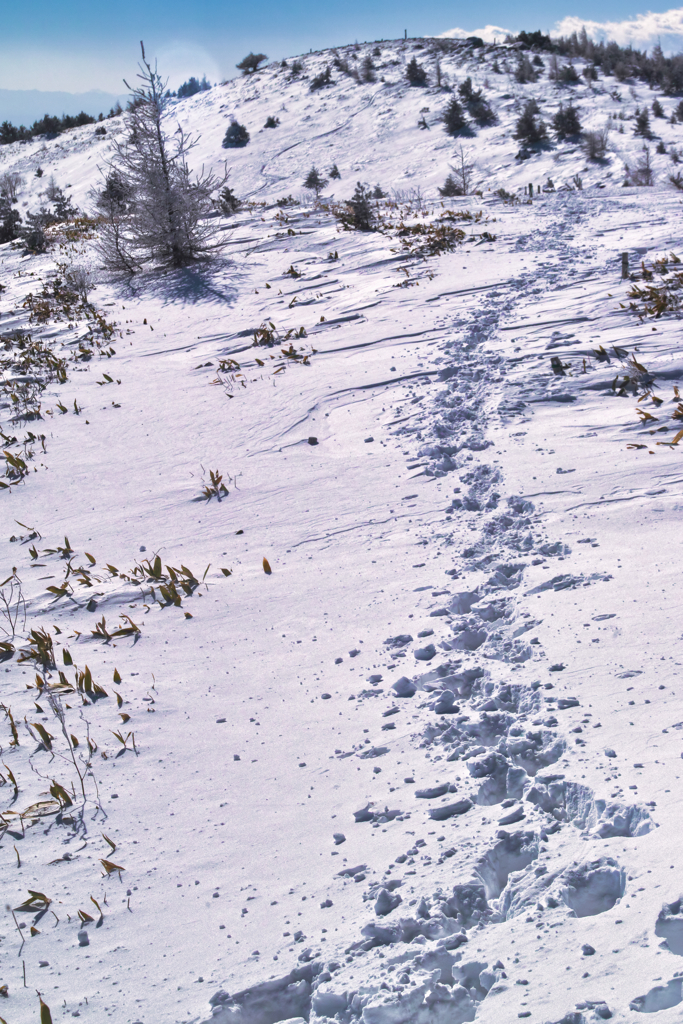 mt.yunomaruyama at 10:53 Jan,16 2026
