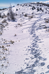 mt.yunomaruyama at 10:53 Jan,16 2026