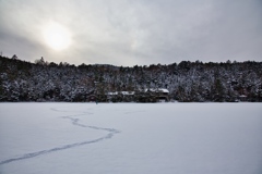 shirakoma night at 14:50 Dec,20 2024