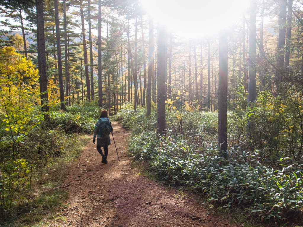mt.nyuukasayama at 14-21 Nov,2 2025(GRD)