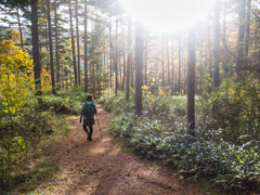 mt.nyuukasayama at 14-21 Nov,2 2025(GRD)