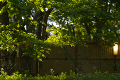 nasu_no_mori_village at 7:06 Oct,21 2024