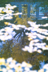 Mt.Tsukuba by aus jena