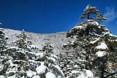 mt.kitayokodake at 10:12 Feb,21 2025