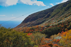 mt.cyausu at 10:53 Oct,20 2024