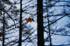 mt.daibosatsurei at 6:39 29,Apr 2023