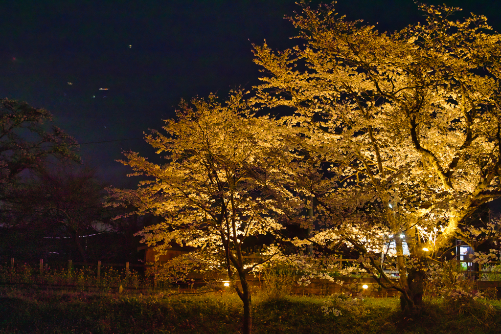 Itabu station at 18:46 Apr,5 2025