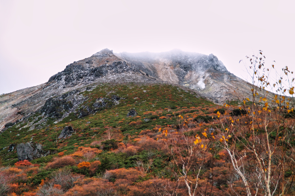 mt.cyausu
