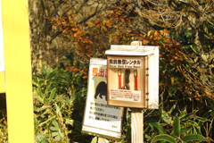 mt.meshimoriyama at 14:58 Nov,1 2025