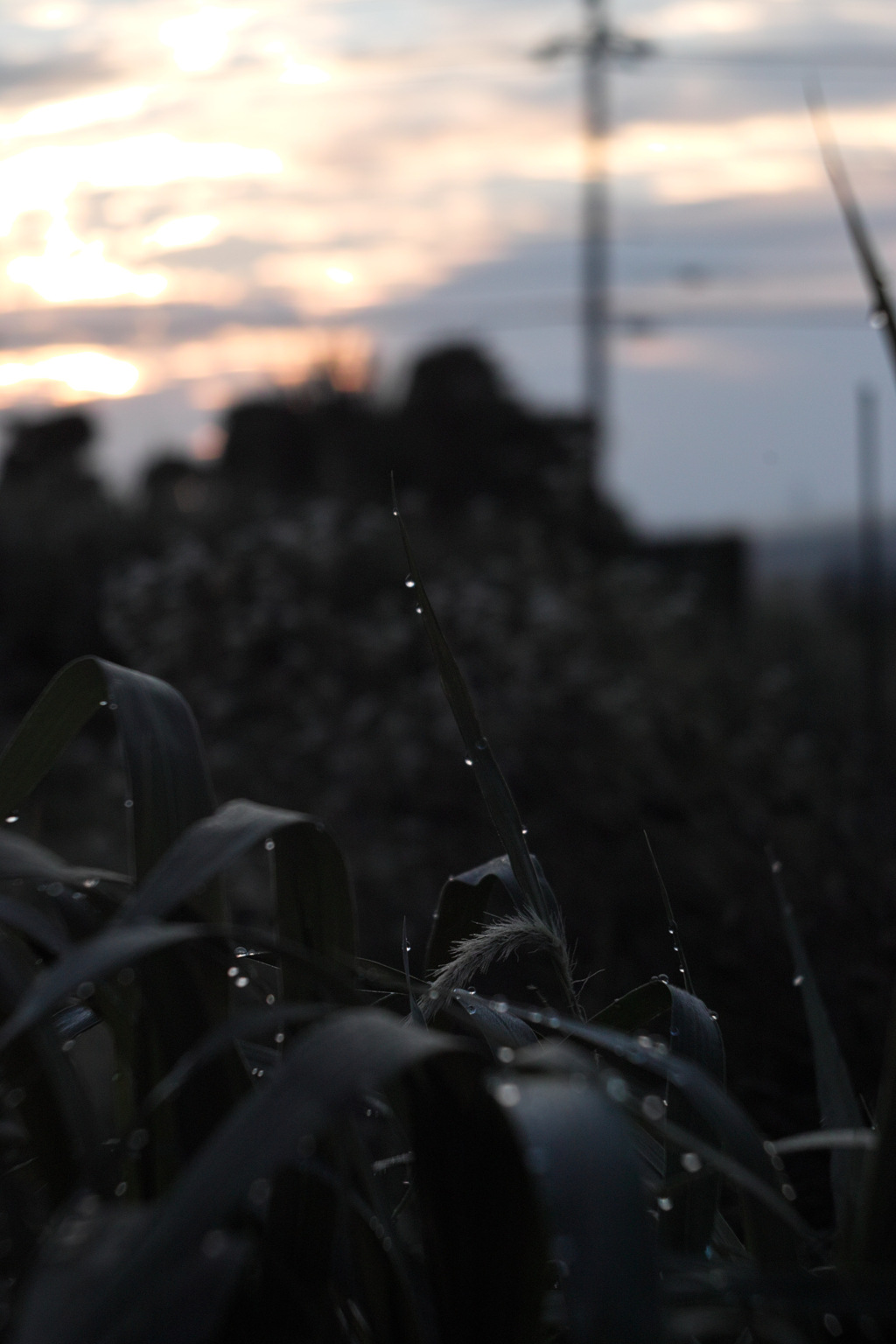 sunrise at 4:39:05 22,Jun 2021