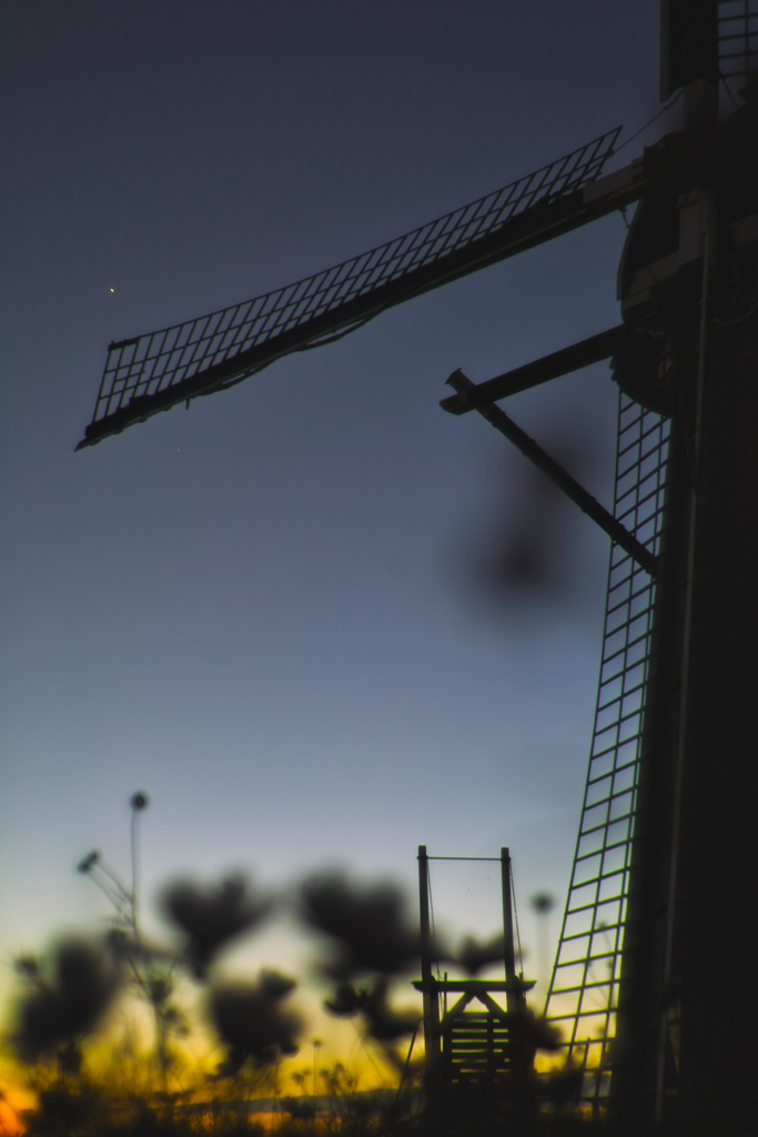 wind mill with cosmos at 17:58 1,Oct 202