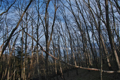 mt.daibosatsurei at 6:30,Apr 2023