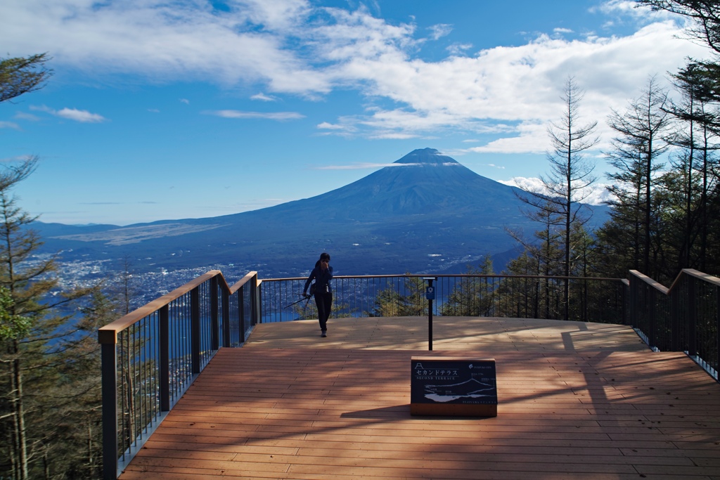 fujiyama twin terrace