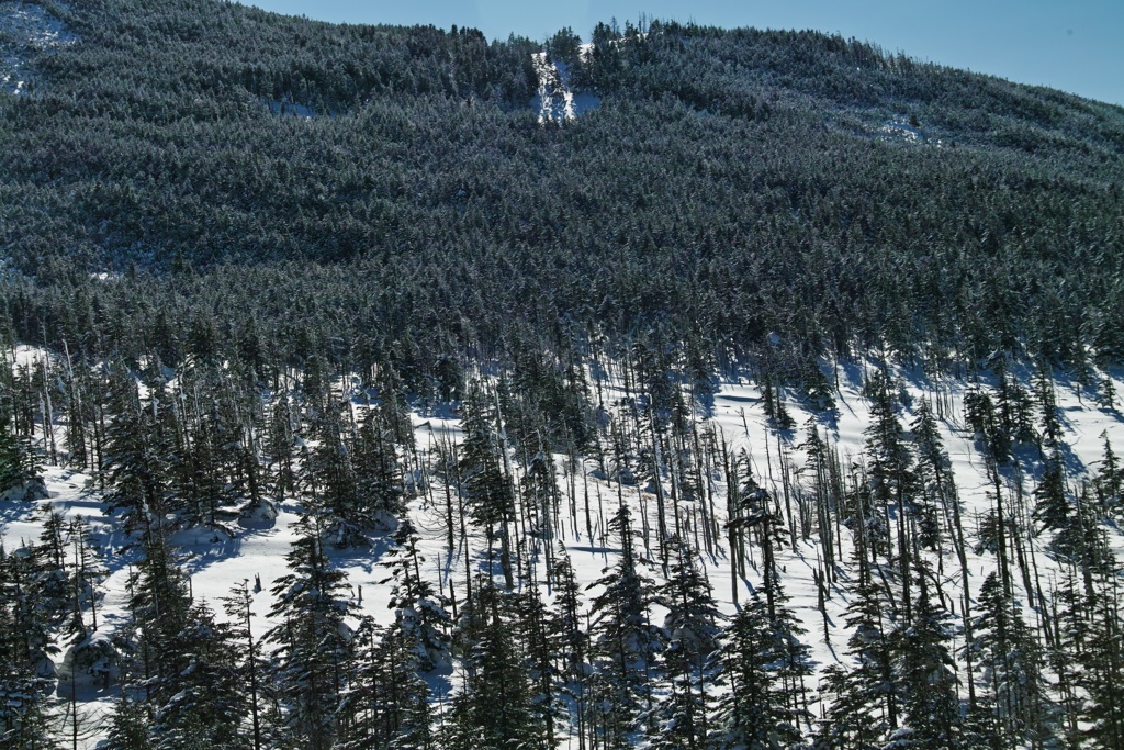 mt.kitayokodake at 9:34-2 Feb,21 2025