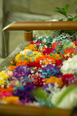 flower water at tama shrine