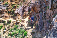 mt.cyausu at 10:09 Jun,15 2024