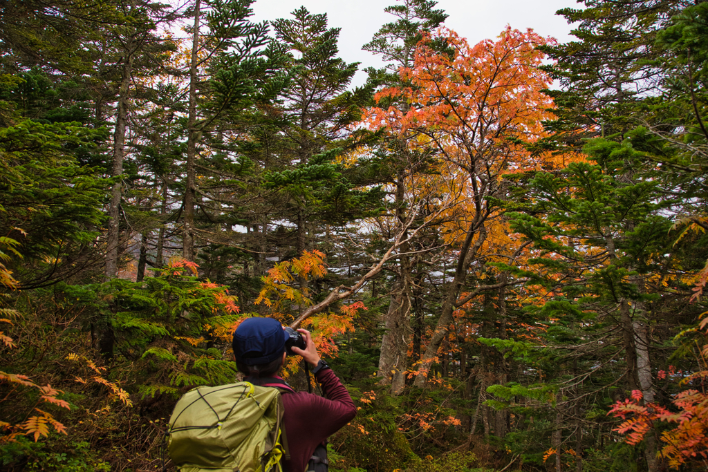 mt.ontake at 13:36 Oct.12 2024
