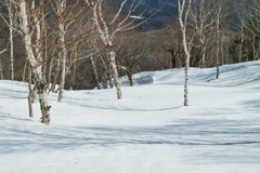 mt.kurobisan at 11:14 Mar,14 2025