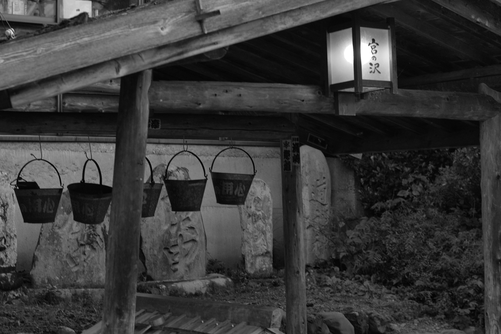 naraijyuku at 15:04 Oct,13 2024