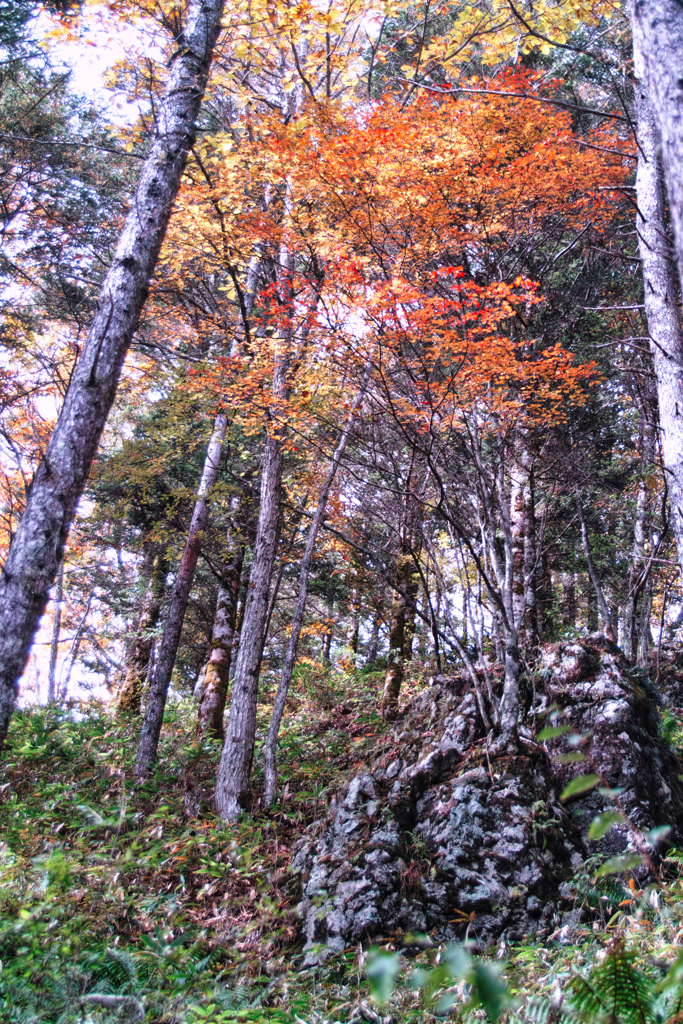 mt.nyuukasayama at 11:16 Nov,2 2025