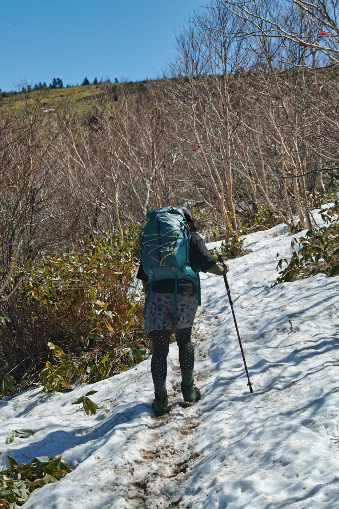 mt.nekodake at 9:37 May,3 2025(SDQ)