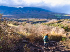 mt.meshimoriyama at 14-53 Nov,2025(GRD 1