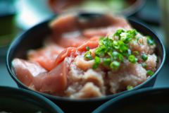 magurodon at yamatakun