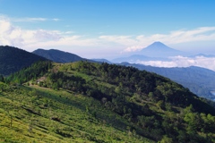 the day of mountain(mt.daibosatsu)2024 a