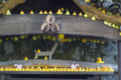 Ikaho spa at 16:19 Mar,14 2025