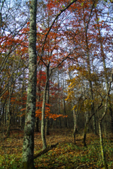 mt.yokoosan at 9:12-2 Nov,1 2025