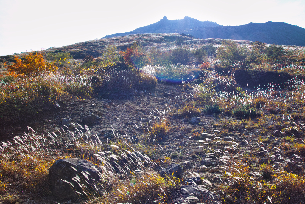 mt.cyausu on Oct.12 2025