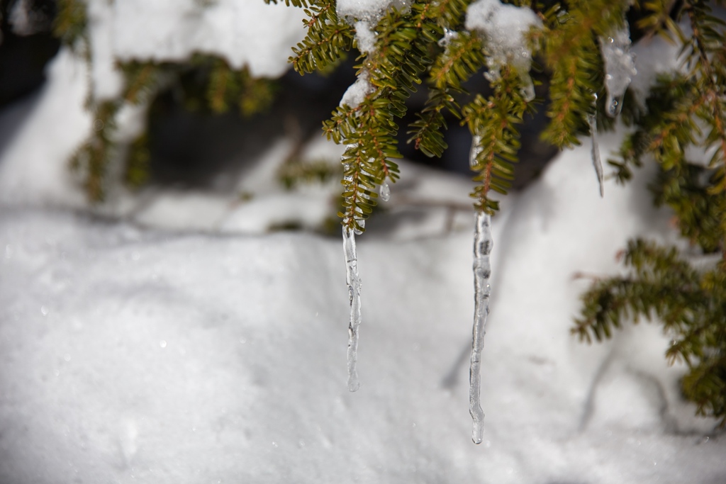 shirakoma lake at 10:20 Dec,20 2024