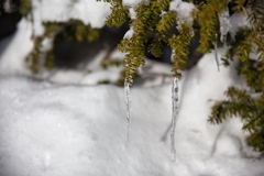 shirakoma lake at 10:20 Dec,20 2024
