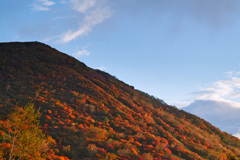 mt.cyausu at 6:19 Oct,20 2024