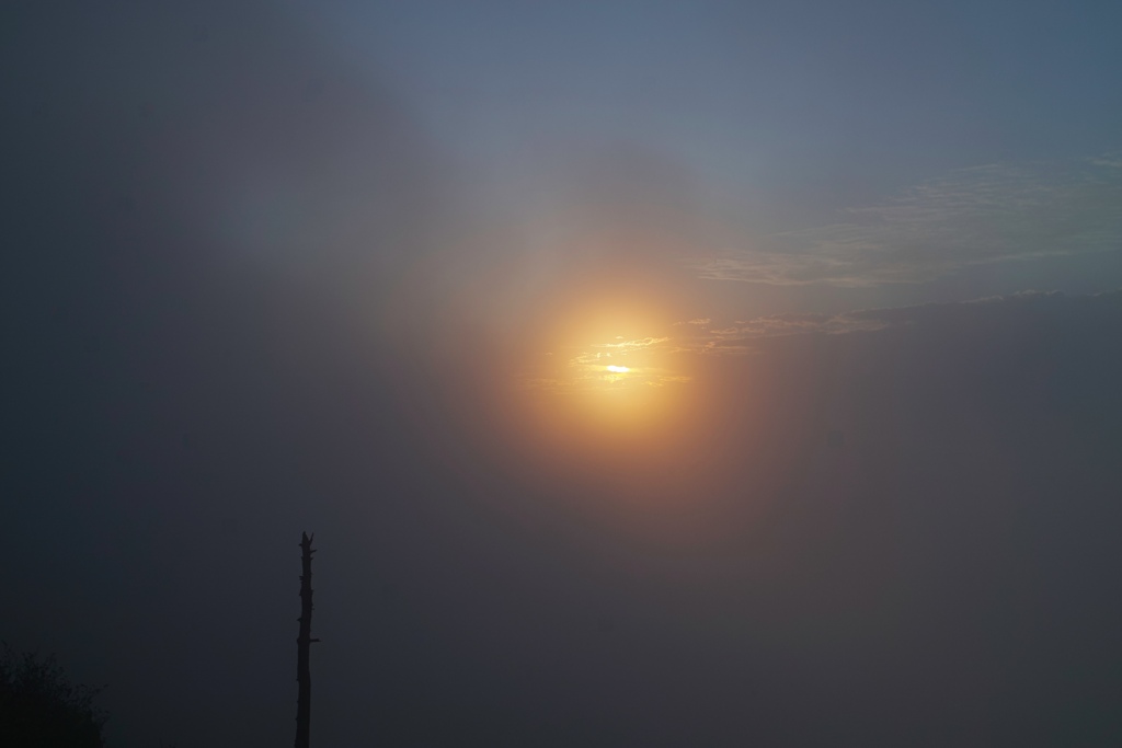 shibutoge at 5:35 12,Sep 2021