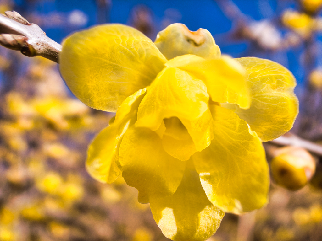 mt.tsukuba at 9:59 Dec,31 2025
