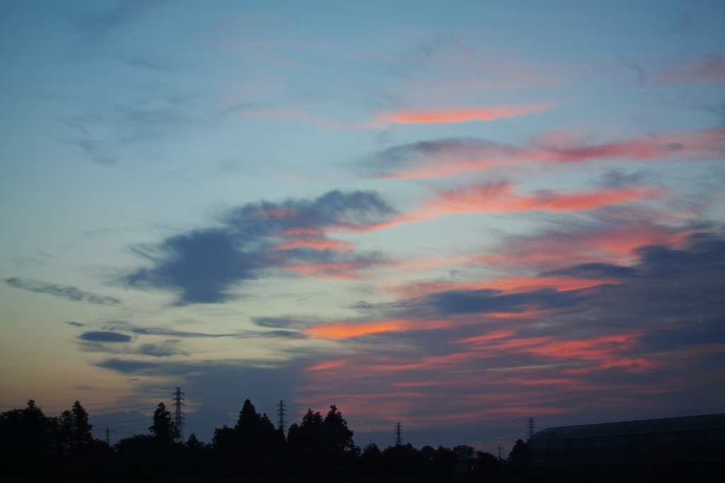 eary morning at 4:31 29,Jul 2021