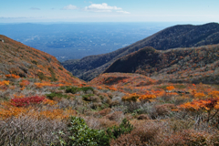 mt.cyausu at 12:33 Oct,20 2024