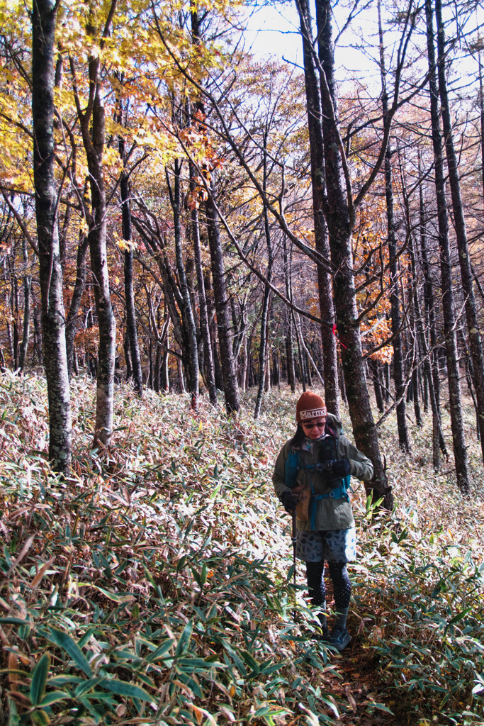 mt.yokoosan at 9:19 Nov,1 2025