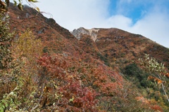 mt.cyausu at 10:17 Oct,20 2024
