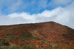 mt.cyausu at 11:03 Oct,20 2024
