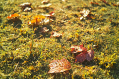 hapougahara in tochigi pref.