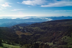 shibutoge at 6:39 10,Sep 2021